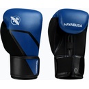 Hayabusa E1