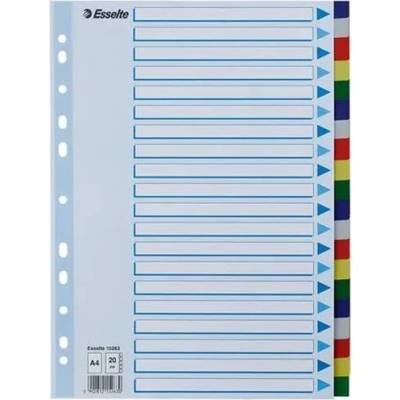 ESSELTE Register, plastový, A4, 20 dielny, ESSELTE