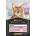 Purina pro plan delicate- Пауч за котки в зряла възраст, с Пуйка- 85гр