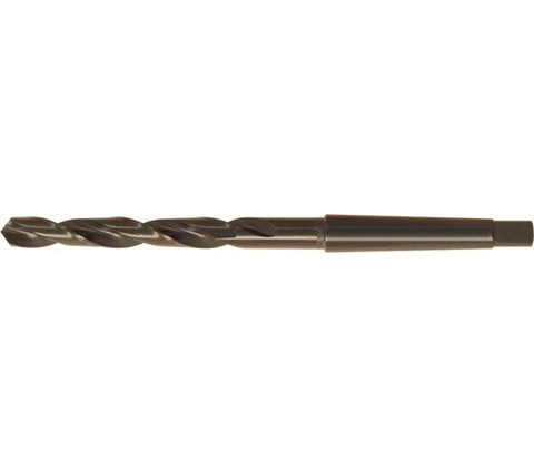 Fortis 10241750
