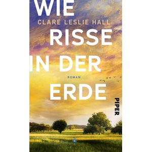 Wie Risse in der Erde | Klaus Timmermann, Ulrike Wasel (ISBN: 9783492073349)
