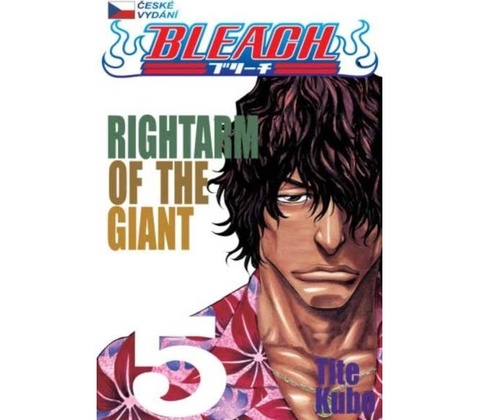 Bleach 5 - Tite Kubo