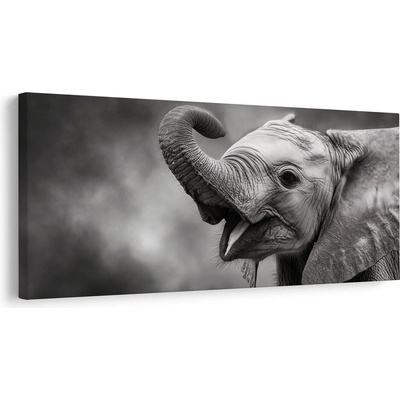 Obraz radostný sloní okamžik - 120x60