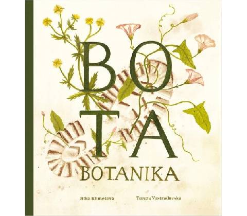 Bota botanika