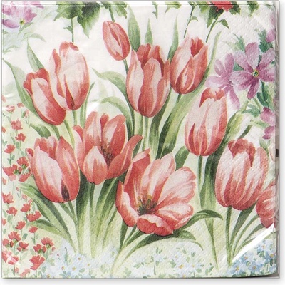 Argus Papírové ubrousky 33x33 cm 20ks 19035006