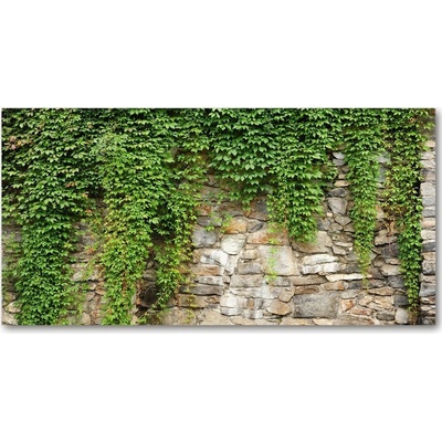 Foto obraz sklo tvrzené zelený brečtan 100x50 cm