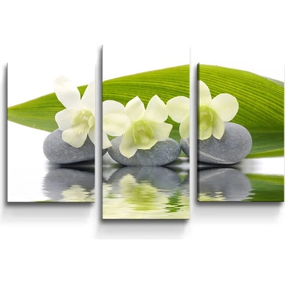 Sablio Obraz - 3-dílný Biela orchidea - 75x50 cm