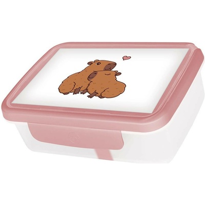 R&B Mědílek Zdravá sváča box Kapybary