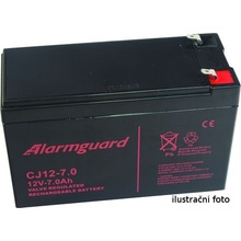 Alarmguard 12V 3,2Ah CJ12-3,2