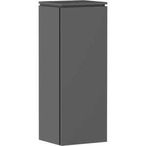 Hansgrohe Xilesa E - Страничен шкаф, 40x107x35 см, 1 врата, панти отляво, матово сиво 54283760 (54283760)