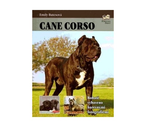 Cane Corso