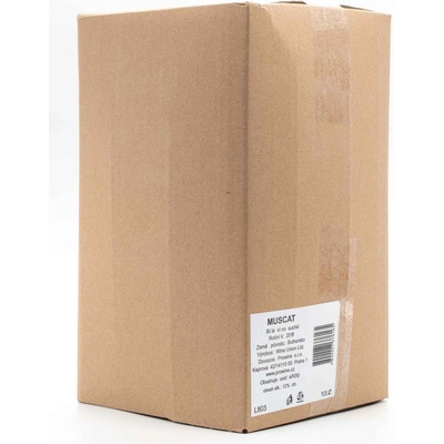 Raynoff Bag in Box Muskat biela 2025 12% 10 l (kartón)