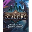 Pillars of Eternity 2: Deadfire - Beast of Winter