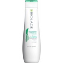 Matrix Biolage ScalpSync Anti Dandruff Shampoo 250 ml
