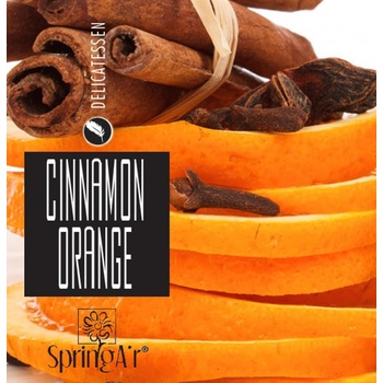 SPRING AIR NÁPLŇ PRE ICONOSCENT/ARTYSCENT CINNAMON/ORANGE 500 ml