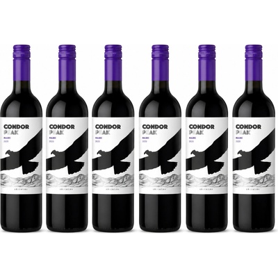 Andean Condor Peak Malbec 12,5% 6 x 0,75 l (holá láhev)