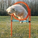 Trixie Agility proskakovací kruh / 78 x 115 cm