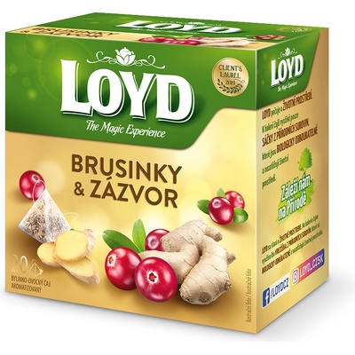 Loyd pyramida Brusinky & Zázvor 20 x 2 g