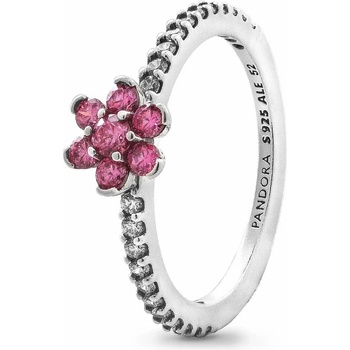 Pandora 194499C02