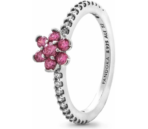 Pandora 194499C02