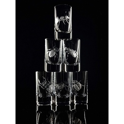skleničky na likér Barline s rytinou brouků 6 x 35 ml