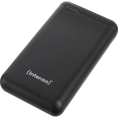 Intenso 7313550