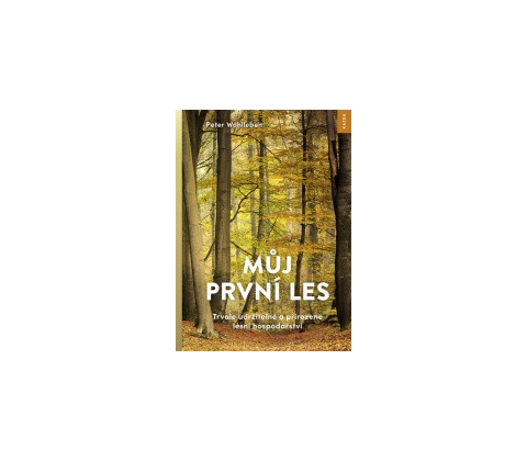 Můj první les