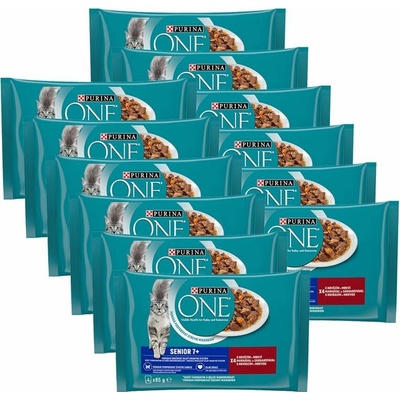Purina ONE Senior hovädzie 48 x 85 g