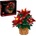 LEGO® ICONS™ - Poinsettia (10370)