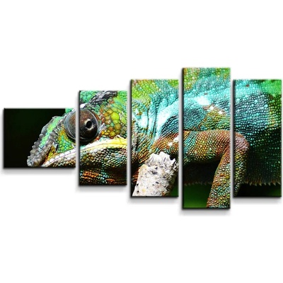 Sablio Obraz - 5-dílný Chameleón - 100x60 cm