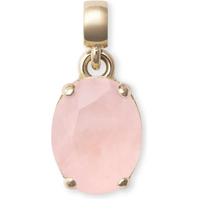 Daniel Wellington pozlacený přívěsek s růženínem Charms DW00401459