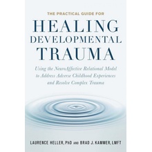 Practical Guide for Healing Developmental Trauma