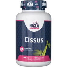 Haya Labs Cissus 500 mg 100 kapsúl