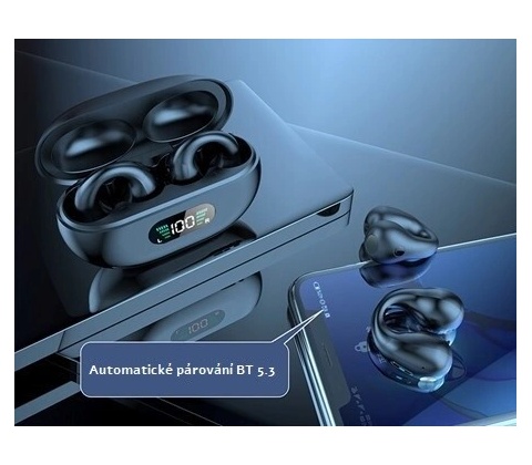 Ear Clip ProTech Q80