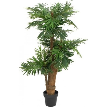 Areca palma, 140 cm