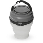 Brunner Pollux