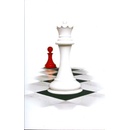 Breaking Dawn n.e. - S. Meyer