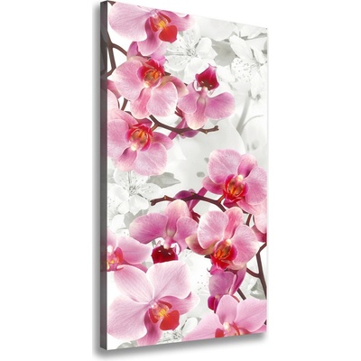 Vertikálny foto obraz na plátne Ružová orchidea 50x100 cm