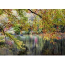 Alipson Branches On the Edge of the River 1000 dielov
