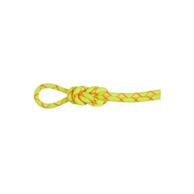 Mammut 9.5 Alpine Core Protect Dry Rope 50 m