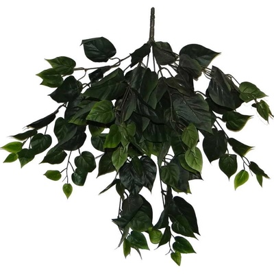 Ťahač Pothos 64cm
