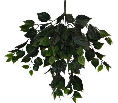 Ťahač Pothos 64cm