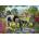 Ravensburger - Puzzle Hadlow Ponies - 500 piese