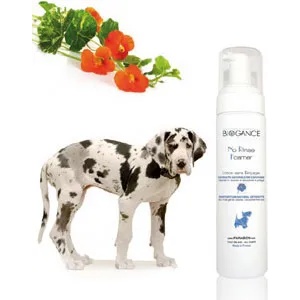 BIOGANCE No Rinse Foamer - пяна за почистване и дезодориране, без измиване 250мл
