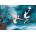 Art Puzzle - Puzzle The Polar Star - 1 000 piese