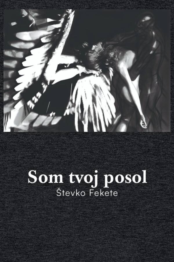 Som tvoj posol