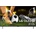LG OLED48B6ELC