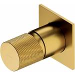 Omnires Вграден смесител за душ Omnires Contour, матово злато, с вградено тяло (CT8045GLB)