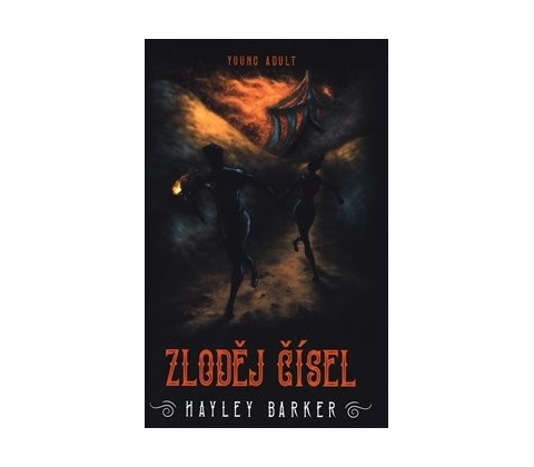 Zloděj čísel - Hayley Barker