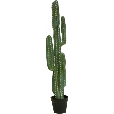 Mexický kaktus zelený, 123 cm